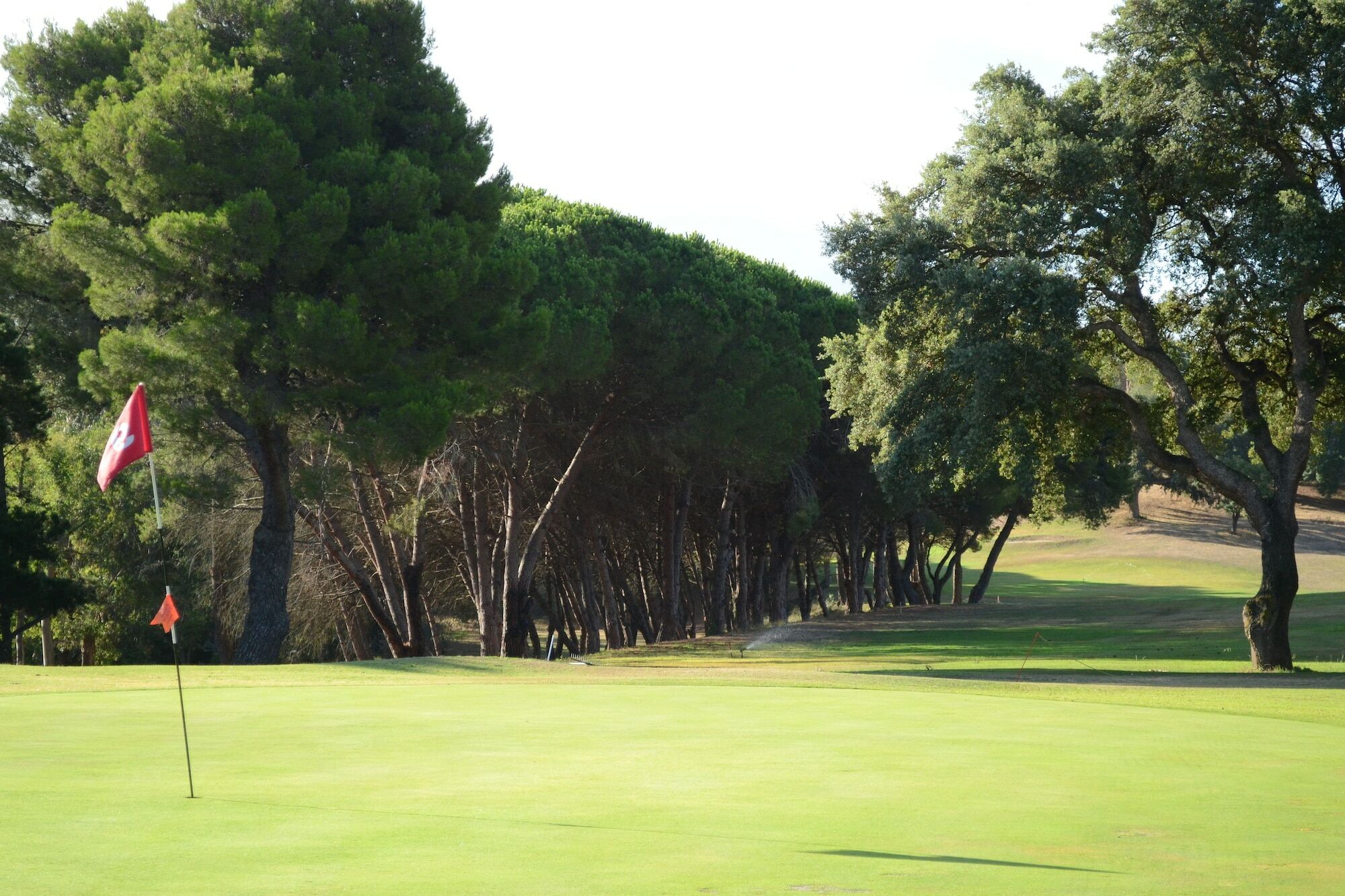 Allegroitalia Elba Golf Portoferraio Ngoại thất bức ảnh